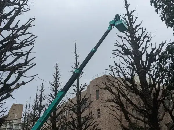 未経験者歓迎、経験不問