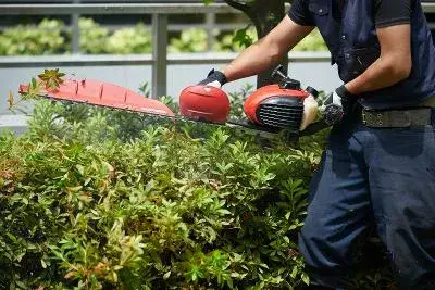 公共施設の花と緑の管理スタッフ（造園）