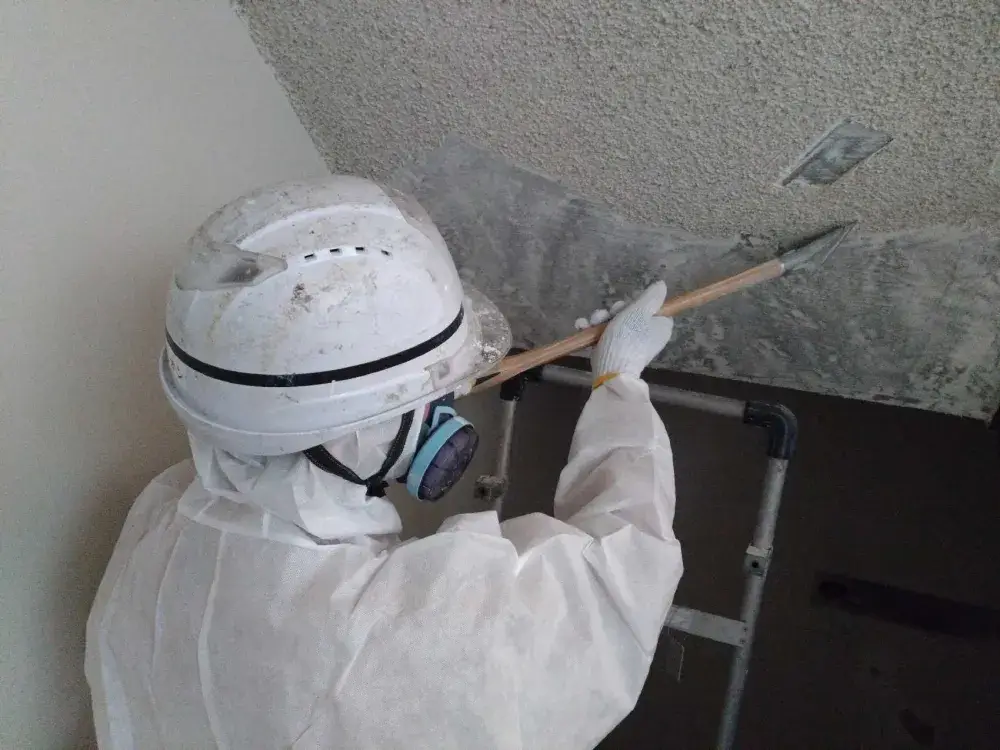 除去作業の様子です