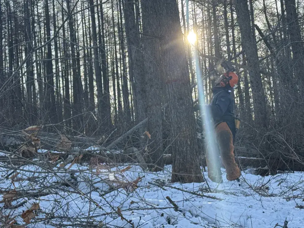 【北海道/十勝】林業スタッフ大募集‼️