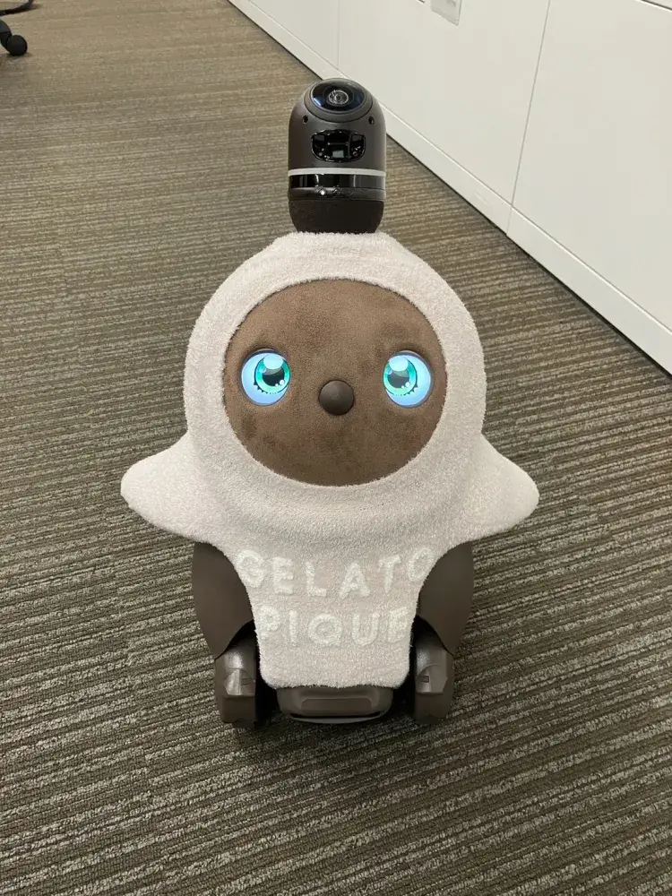 社内の癒し「ソルちゃん」です！